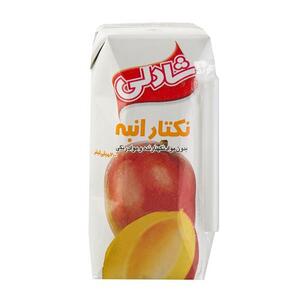 آب انبه 200 سی سی شادلی