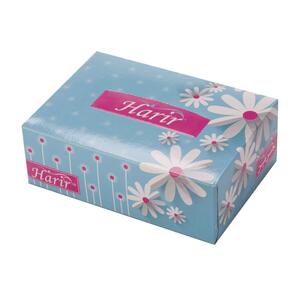 دستمال کاغذی جعبه ای اتومبیل 100 برگ 2 لایه حریر