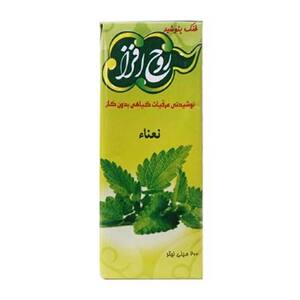 نوشیدنی نعنا 200 سی سی روح افزا