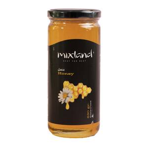 عسل شیشه 630 گرمی میکس لند