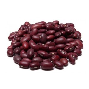 دل مرغ تازه محمدیان