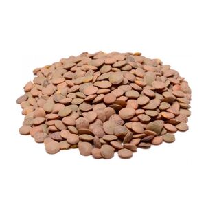 نخود آبگوشتی فله