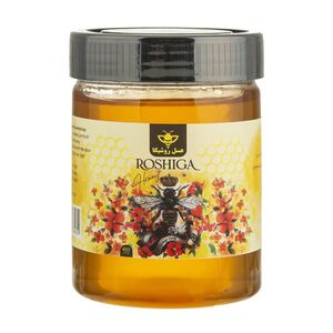 عسل 450 گرمی روشیگا